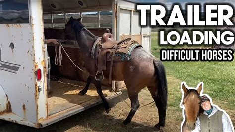 trailer loading a difficult horse